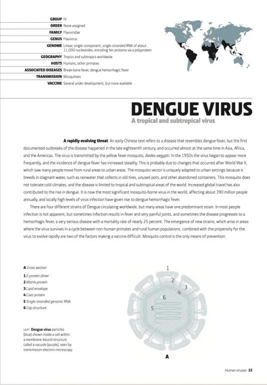 virus an illustrated guide download